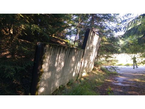 Foto 88